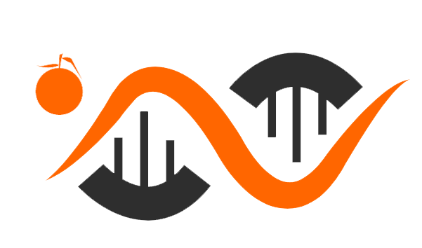Logo de ORANGE TECHNOLOGIES SCRL